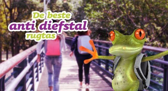 Anti-diefstal rugtassen