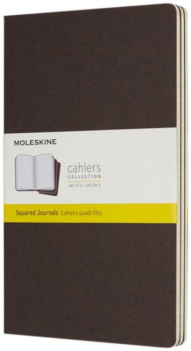 Cahier Journal L - ruitjes - 1
