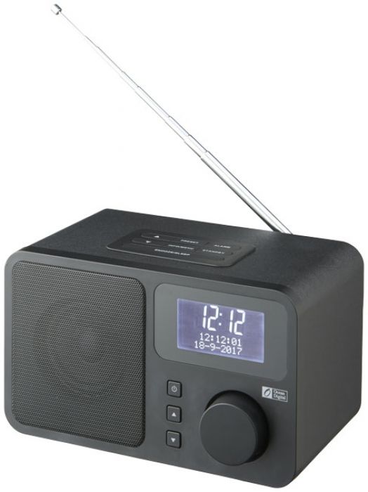 DAB deluxe radio met FM tuner - 1