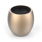 EX-Stream Bluetooth Speaker - gold - 1