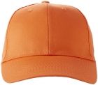 Watson 6 panel cap - 2