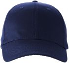 Watson 6 panel cap - 2