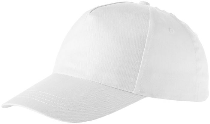 Brunswick 5 panel cap - 1