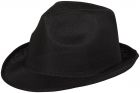 Trilby hoed - 1