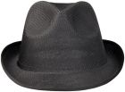 Trilby hoed - 2