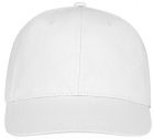Ares 6 panel cap - 2