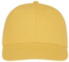 Ares 6 panel cap - 2