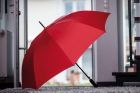 Autom. golf umbrella  Passat - 7