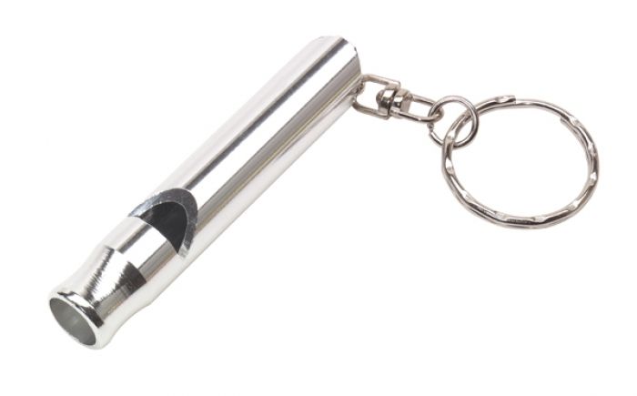 key ring with whistle  Flute - 1