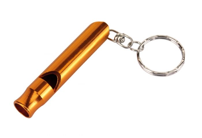 key ring with whistle  Flute - 1