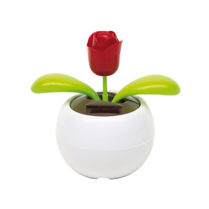 Solar Flower  Waving Rose  - 1