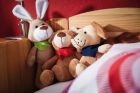 plush elk  Friedrich   brown - 564