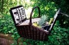 willow picnic basket  Summertime  - 666