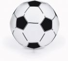 PVC voetbal Norman - 1