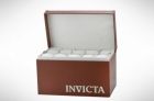 Invicta Impact Cases