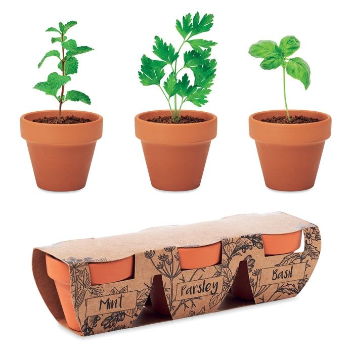 FLOWERPOT - 1