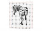 Tea towel Tiles Zebra w. cotton neon stitch
