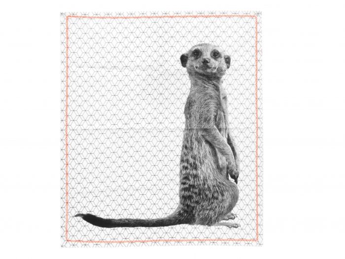 Tea towel Raster Meerkat w. cotton neon stitch - 1