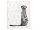 Tea towel Raster Meerkat w. cotton neon stitch