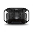 Philips ShoqBox Wireless Portable