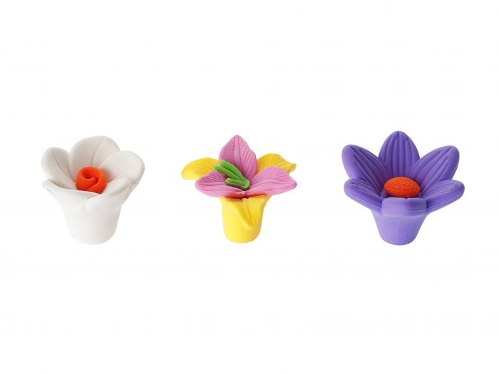 Eraser set Flowers - 1