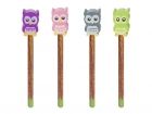 Pencil and eraser Owl assorted