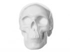 Moneybank Skull white ceramic - 1