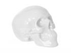 Moneybank Skull white ceramic - 2